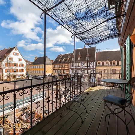 Au Bonheur Des Anges 2 Avec Terrasse Colmar