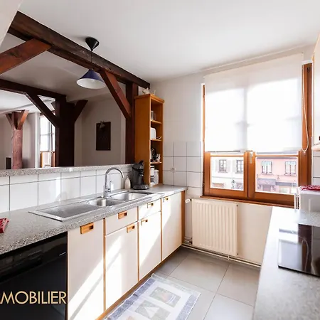 アパート Au Bonheur Des Anges 2 Avec Terrasse コルマール