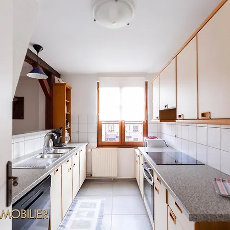 Appartement Au Bonheur Des Anges 2 Avec Terrasse Colmar