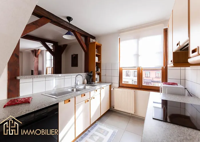 Appartement Au Bonheur Des Anges 2 Avec Terrasse Colmar