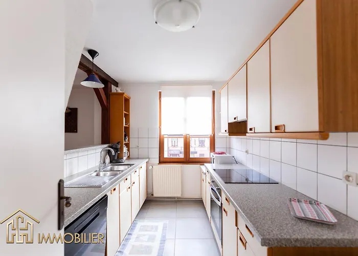 Appartement Au Bonheur Des Anges 2 Avec Terrasse Colmar