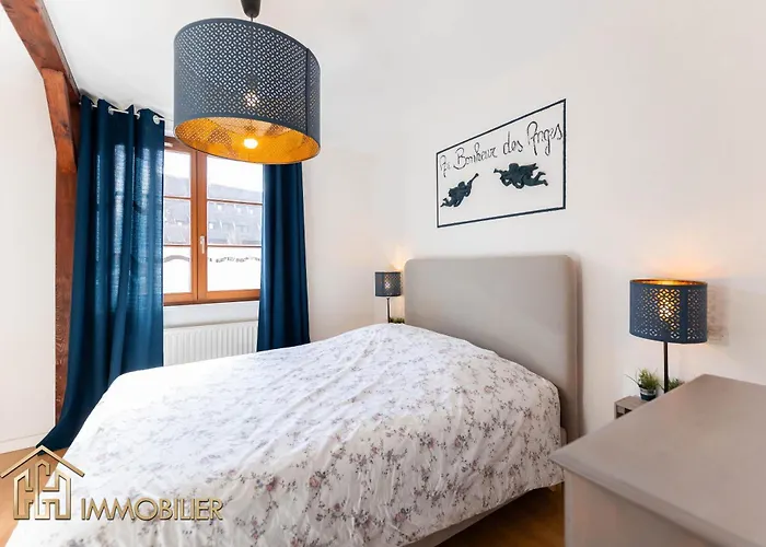 Au Bonheur Des Anges 2 Avec Terrasse 科尔马